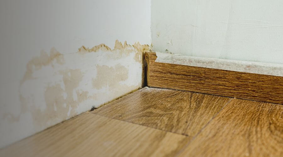Why choose TrueLine Homes for water damage restoration in Abilene